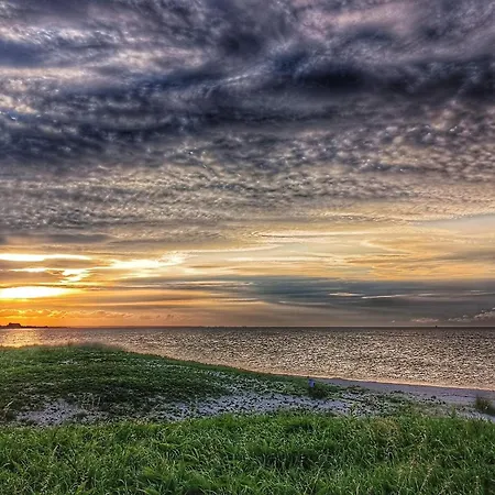 5 Person In Sydals-by Traum